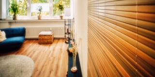 Ein Wohnzimmer mit Holzboden, einem blauen Sofa, einem runden Teppich, Pflanzen auf der Fensterbank und einem Rollo an der rechten Wand.